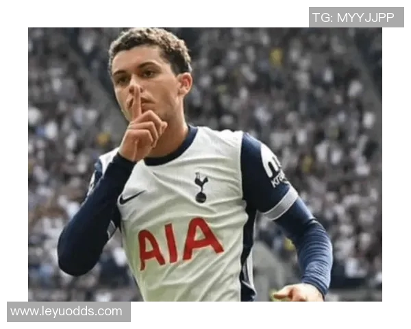 英媒称热刺可能在一月出售布伦南约翰逊伯恩茅斯和水晶宫有意加盟